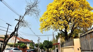 Lunes feriado cálido a caluroso con una temperatura máxima de 31 °C