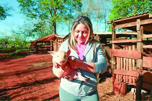 microcrédito a granja rentable: producción porcina en Paraguay