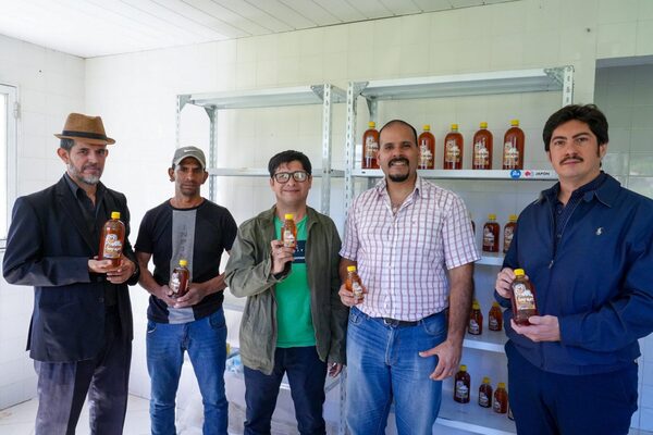 “Hambre Cero” ha ayudado a mejorar la productividad de las Mipymes rurales