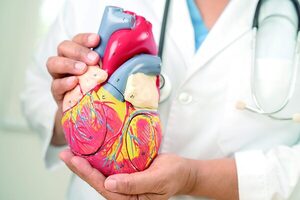Enfermedades cardiovasculares, sanitario en Paraguay