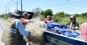 Diario HOY | Realizan operativos en Ñeembucú para garantizar la pesca responsable