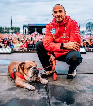 Popular / La desgarradora despedida de Lewis Hamilton a su perro Roscoe