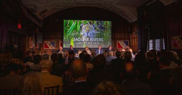 Diario HOY | Ríos del Jaguareté: Paraguay, clave en el primer corredor continental de biodiversidad