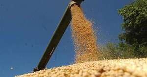 La Nación / Ven potencial de la soja en seguridad alimentaria