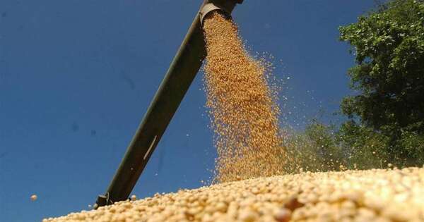 La Nación / Ven potencial de la soja en seguridad alimentaria