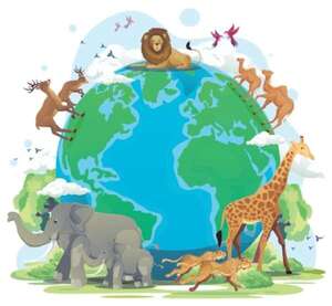 Día del Animal: cuidados y aprendizaje - Ciencias de la Naturaleza y de la Salud Tercer Ciclo - ABC Color