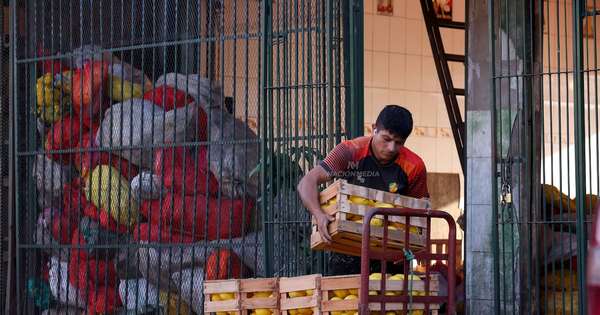 La Nación / Una turba atacó a comitiva de la Dnit en el Mercado de Abasto