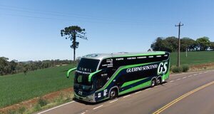 Guerino Seiscento renueva su flota con 30 autobuses Volvo para rutas de larga distancia - Amigo Camionero