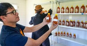Apicultores colocan productos en las escuelas mediante el ingreso al programa social del Gobierno
