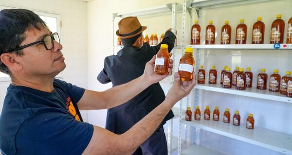 Apicultores colocan productos en las escuelas mediante el ingreso al programa social del Gobierno