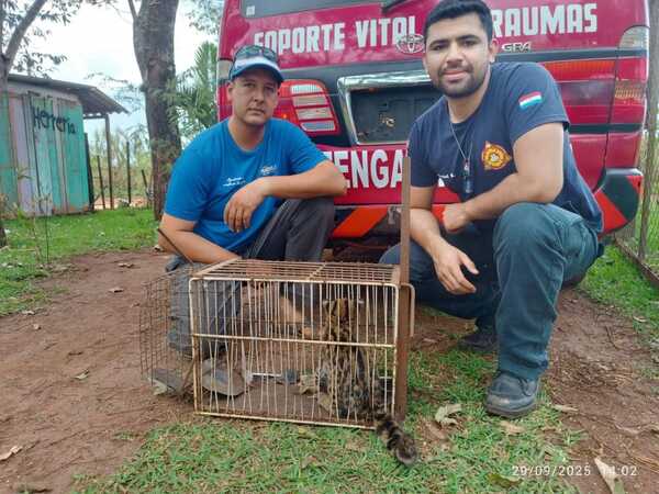 Popular / Rescataron a un Tirika en una casa y lo llevaron a refugio