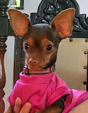 Minnie - Encontrá a tu mascota - ABC Color