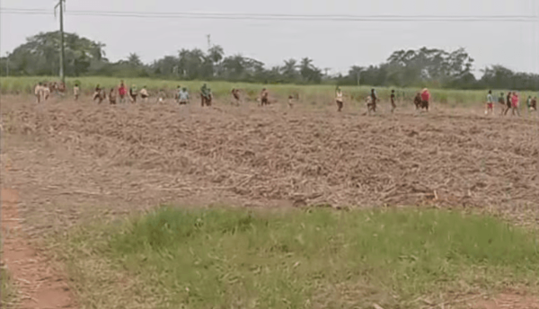 Supuestos sin tierras invaden y queman cañaverales en Guarambaré - Noticiero Paraguay