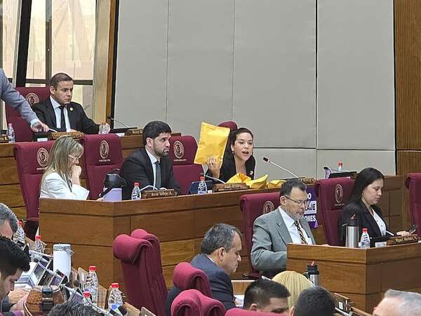 Gen Z: Alientan a jóvenes recordando que ni garroteros, ni ensobrados ni “títeres” son dueños de la Patria - Política - ABC Color
