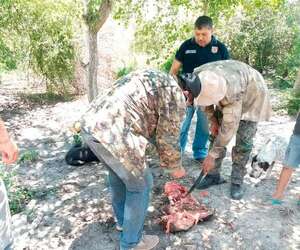 Abigeato en el Chaco: falta de castigo ahuyenta inversionistas, asegura obispo - Noticias del Chaco - ABC Color