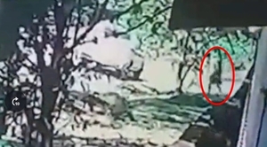 Intentó raptar a una niña ofreciéndole dinero para llevarla