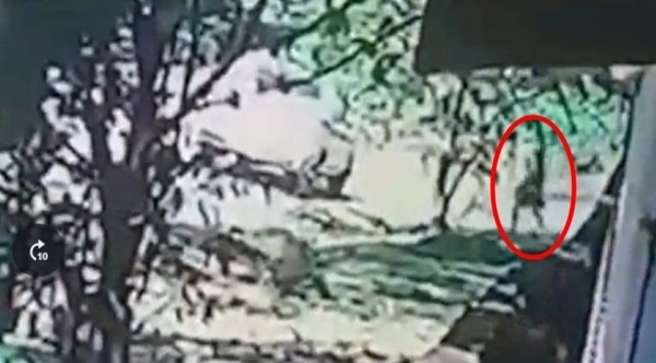 Intentó raptar a una niña ofreciéndole dinero para llevarla
