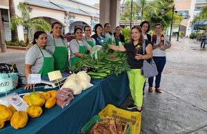 Casi 900 familias serán beneficiadas con ferias de la agricultura familiar de esta semana