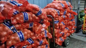 Senave anuncia que confiscará cebolla y papa de origen ilegal