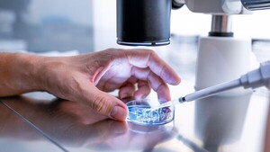 Desarrollan óvulos humanos potencialmente fecundables a partir de células de la piel