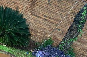 Una docente murió electrocutada al pisar un cable suelto de la ANDE - San Lorenzo Hoy