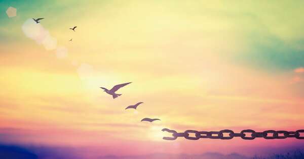 La Nación / El límite de una vida rota