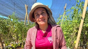 Productores cuestionan altos precios del tomate en góndolas