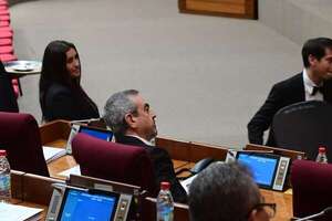 “Nos durmieron” admite diputado cartista sobre repudio a la represión policial - Política - ABC Color