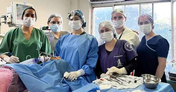 La Nación / De enero a agosto se realizaron 10.000 cirugías en hospital de IPS