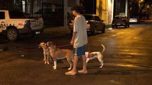 Lautaro, el adolescente que pasea perros y sueña con ser veterinario - Nacionales - ABC Color