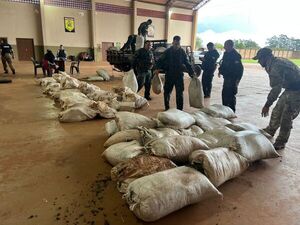 Golpe al narcotráfico en Amambay: incautan más de 1.200 kilos de marihuana