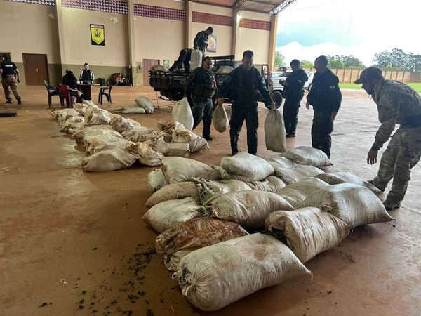 Incautan más de 1.200 kilos de marihuana