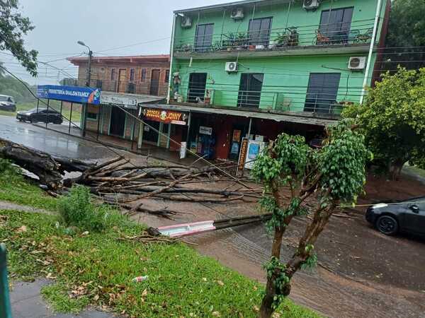 Popular / SEN informa que víctimas de temporal deben gestionar pedido de ayuda desde los municipios