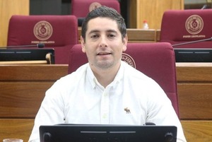 Diputados piden al MOPC instalar vallas de seguridad en el Puente Remanso - ADN Digital