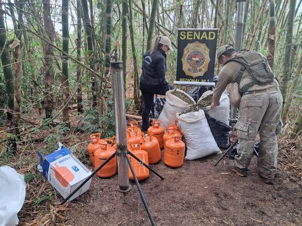 Video: incautan y destruyen más de 1.200 kilos de marihuana en Amambay - Policiales - ABC Color