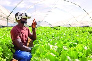 La inteligencia artificial transforma la agricultura en América Latina