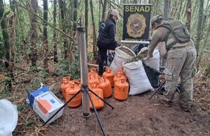 Senad desmantela laboratorio de resina de cannabis y quema más de una tonelada de marihuana en Amambay - El Trueno