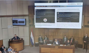 Riera explica ante el Senado el operativo policial en marcha de la “Generación Z” - OviedoPress