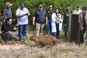 Animales que nacieron en cautiverio son devueltos a su hábitat natural - trece