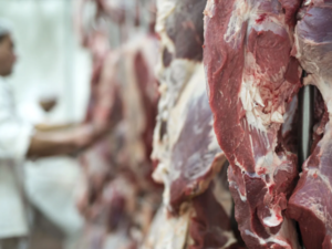 Diez mercados concentran exportaciones de carne