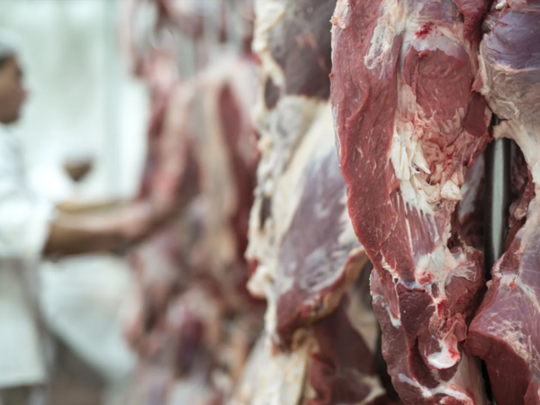Diez mercados concentran exportaciones de carne