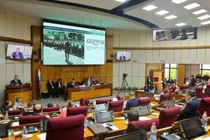 Riera niega espionaje y represión en marcha de la “Generación Z” - El Trueno