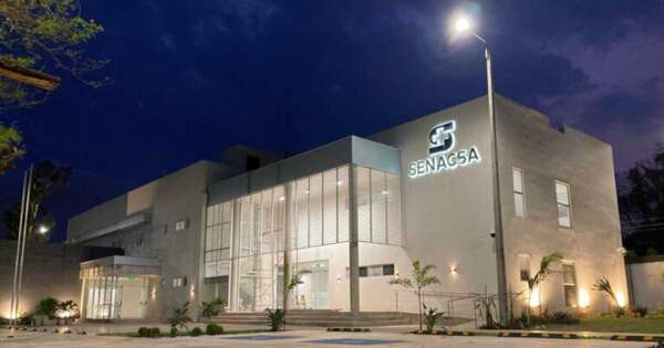La Nación / El Senacsa creará más de 500 categorías salariales, tras reclamos de funcionarios