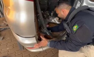 Caen dos paraguayos con 200 kilogramos de marihuana