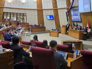 Reforma del transporte público: Ciudades del interior también exigen un sistema digno subsidiado - Economía - ABC Color
