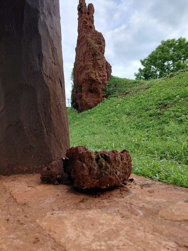 Ruinas jesuíticas de Santiago Apóstol se desmoronan ante el abandono - Nacionales - ABC Color