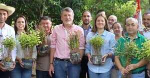 INFONA impulsa proyecto de Reforestación Energética en Tobatí