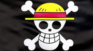 Gen Z y One Piece: lo que queda sin USAID