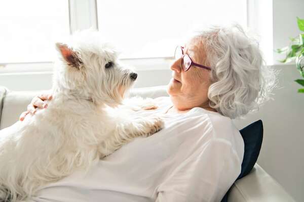 Beneficios emocionales de tener un perro tras una pérdida o duelo - Mascotas - ABC Color