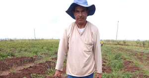 La Nación / Productores lograron cosechar 2,6 toneladas de papas en Amambay